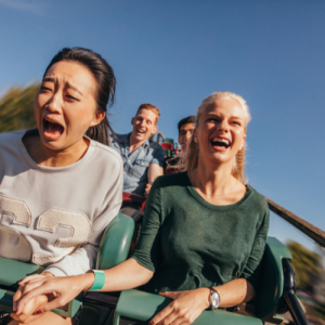 rollercoaster_rates