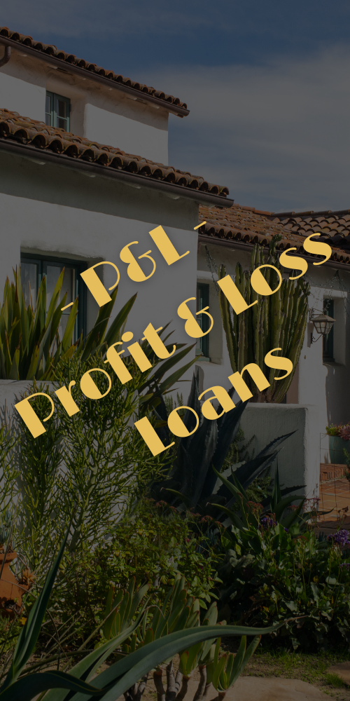 pandl loans
